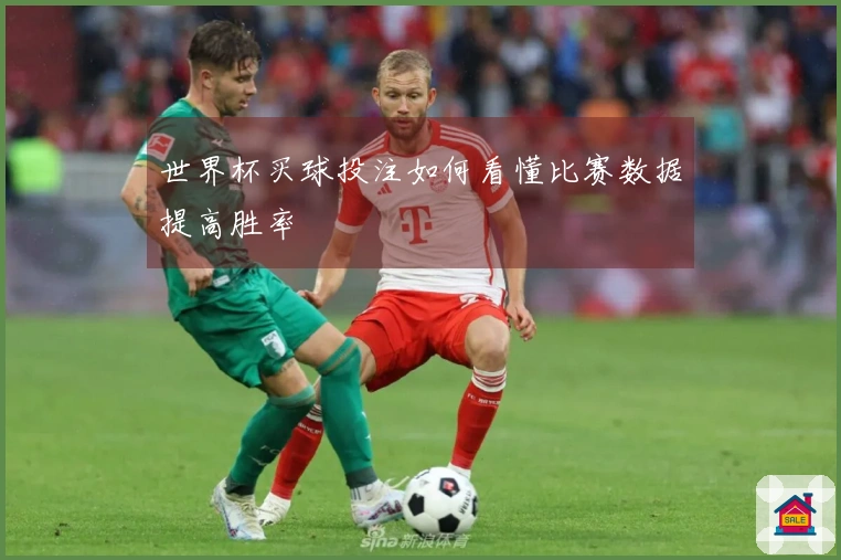 世界杯买球投注如何看懂比赛数据提高胜率