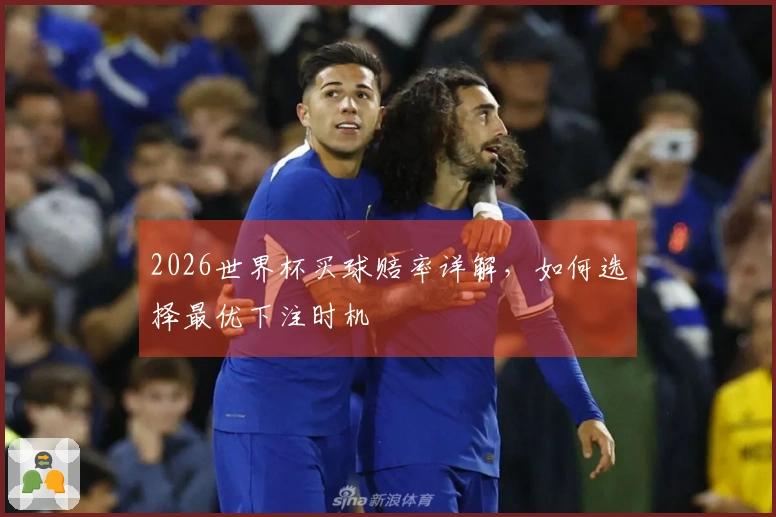 2026世界杯买球赔率详解，如何选择最优下注时机