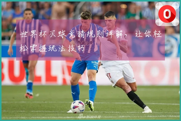 世界杯买球竞猜规则详解，让你轻松掌握玩法技巧