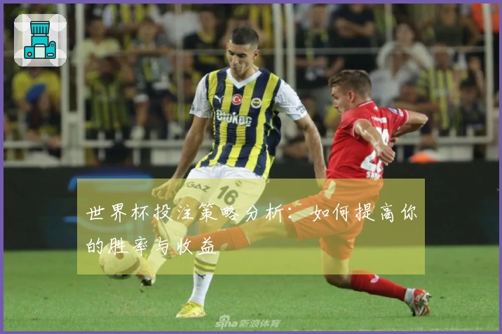 世界杯投注策略分析：如何提高你的胜率与收益