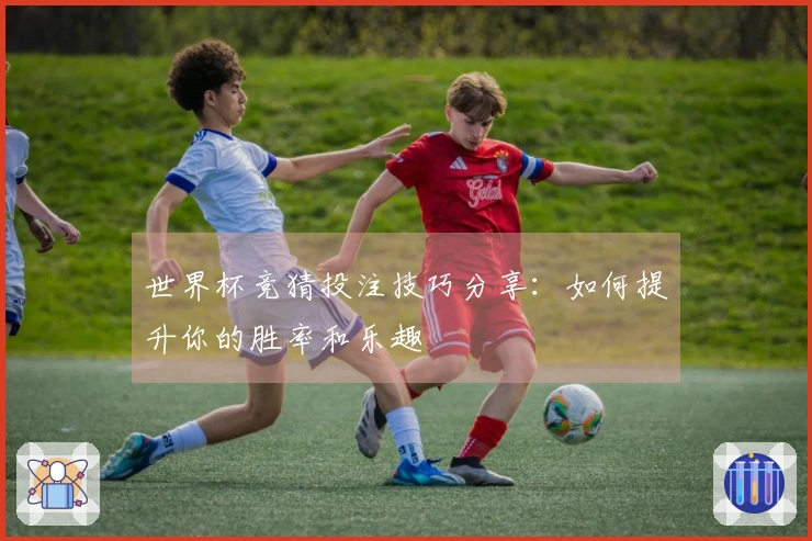世界杯竞猜投注技巧分享：如何提升你的胜率和乐趣