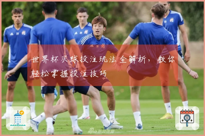 世界杯买球投注玩法全解析，教你轻松掌握投注技巧