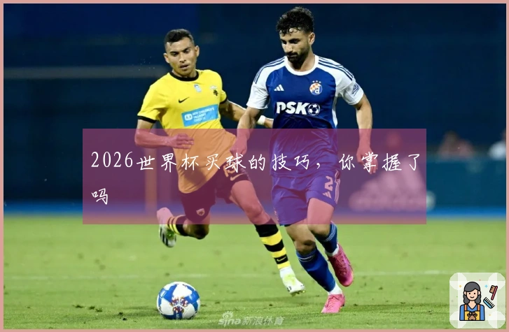 2026世界杯买球的技巧，你掌握了吗