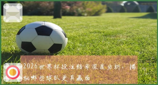 2026世界杯投注赔率深度分析，揭秘哪些球队更具赢面