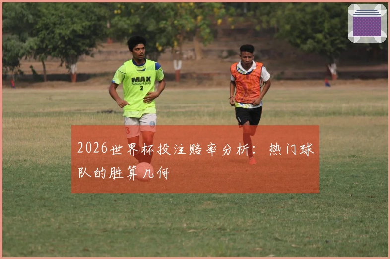 2026世界杯投注赔率分析：热门球队的胜算几何