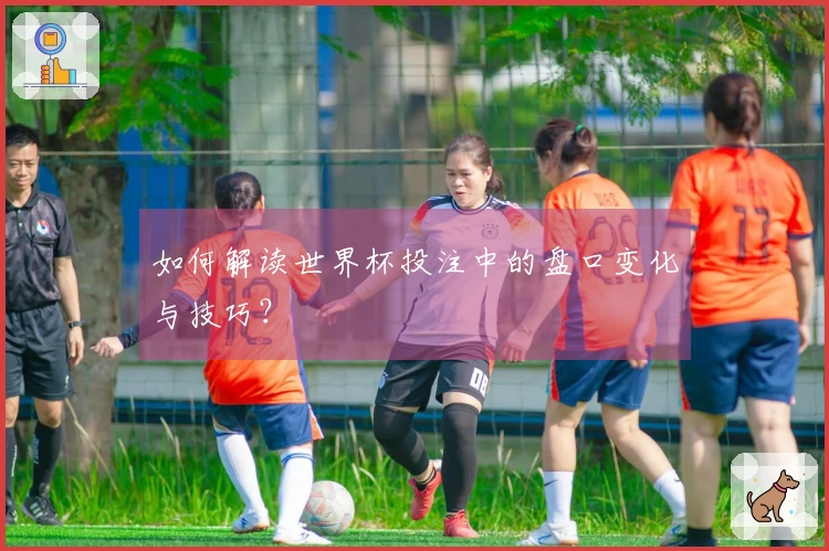 如何解读世界杯投注中的盘口变化与技巧？