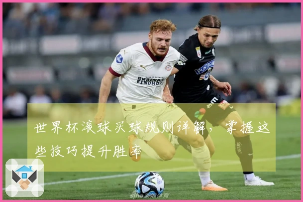 世界杯滚球买球规则详解，掌握这些技巧提升胜率